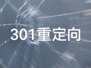 Z-blogPHP 301 إعادة التوجيه من اثنين من النهج المختلفة التي تم تنفيذها باستخدام رمز PHP
